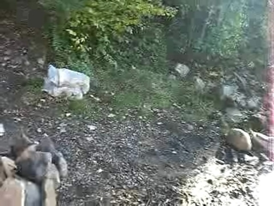 Camping au Quebec