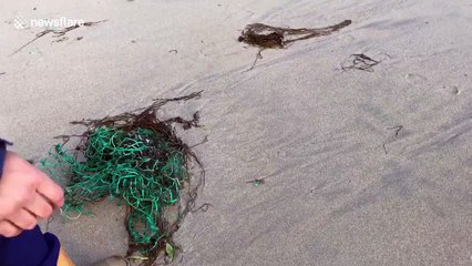 Cornish beach covered in rubbish and fishing nets after stormy night