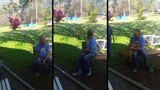 Après avoir perdu du poids, son chien ne le reconnait plus