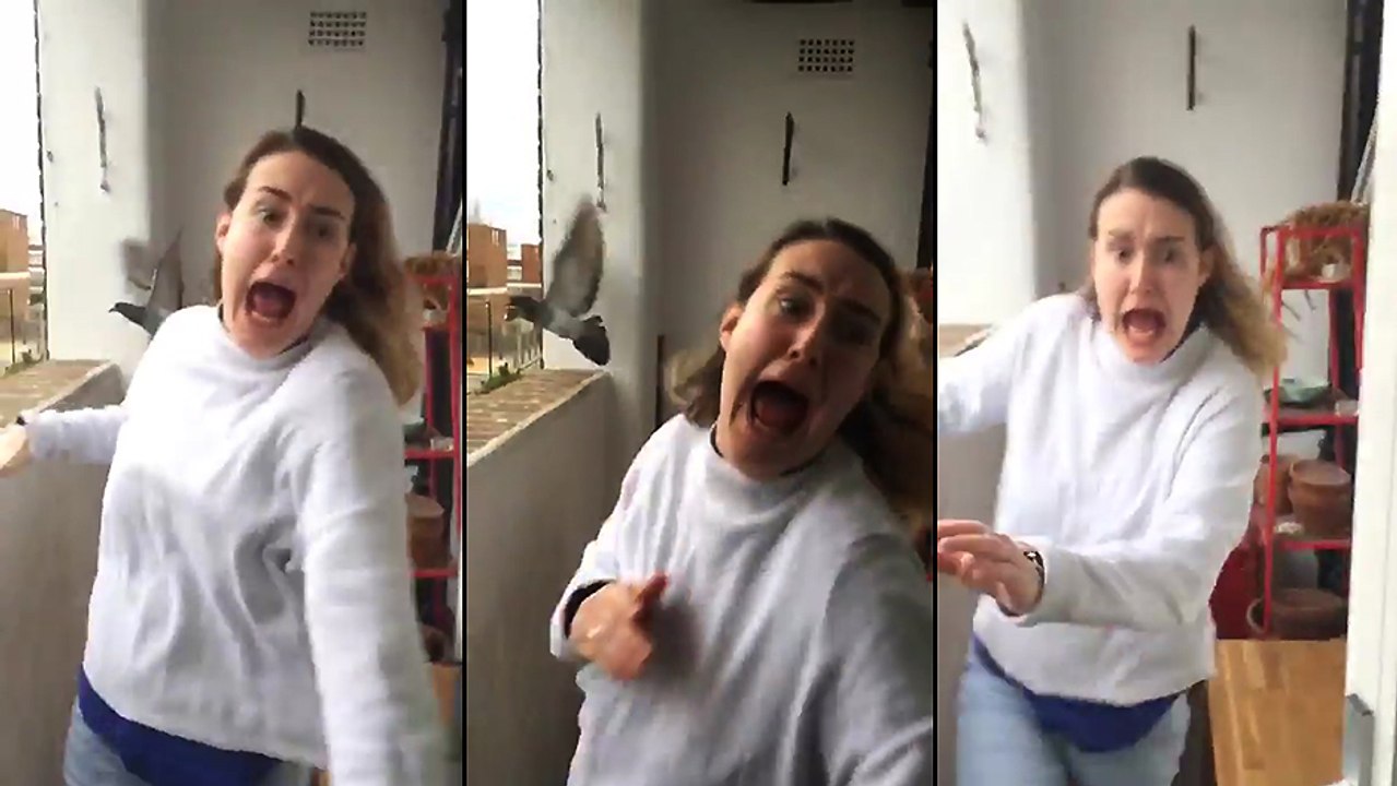 Une jeune femme découvre un pigeon sur son balcon