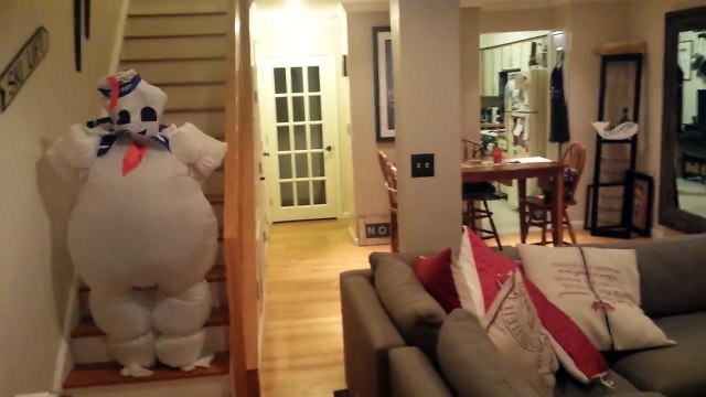 La réaction de ce chien face à un déguisement bien fun : hilarant