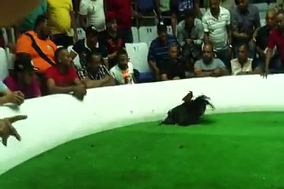 Cinta azul De Nuestro Hermano Danny Caba.