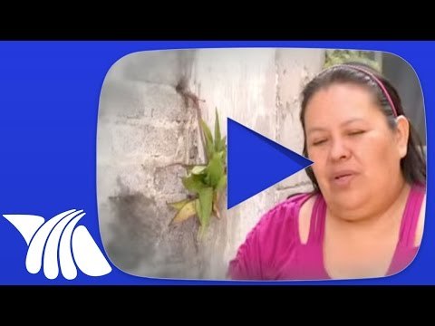 Mi sobrino es un delincuente y mi hermana lo solapa