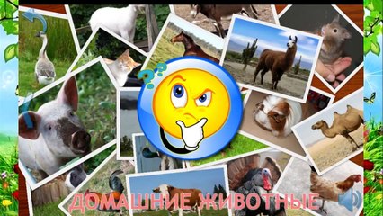 Учим животных и их звуки Развивающий мультфильм