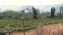 Incêndios florestais deixam 10 mortos no Chile