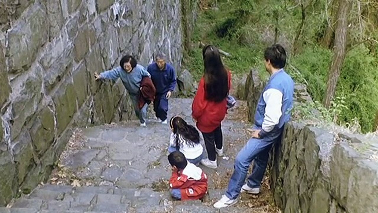 쿵후 선생.Tai Chi Chuan - Pushing Hands - Tui Shou Ang Lee.19922