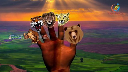 Животных Finger семья потешки | животных железнодорожные аварии | сбор рифмы