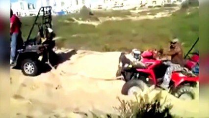 melhores 2016 pra morrer de rir