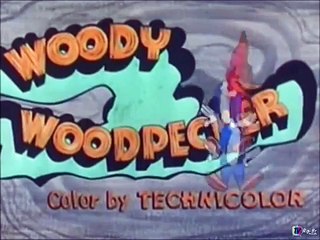 Pica-Pau - 165 - Briga pra Ninguém Botar Defeito