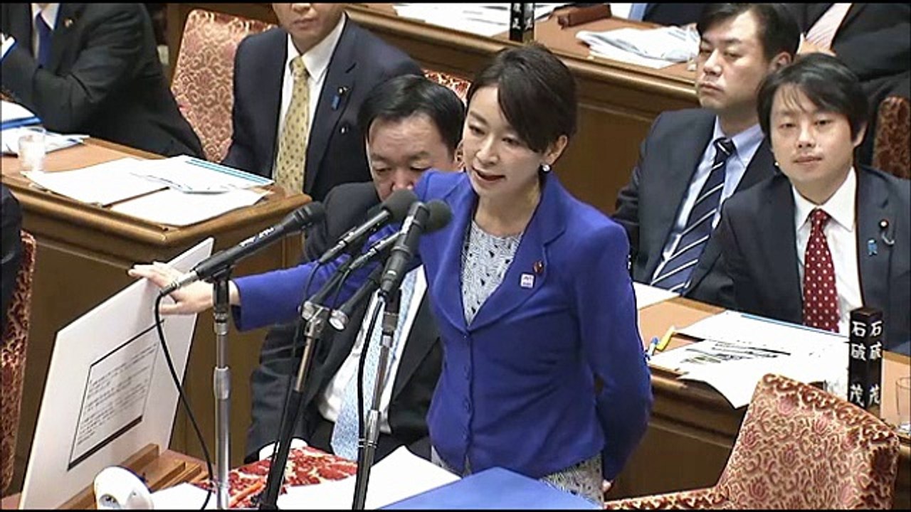 【共謀罪】 山尾志桜里（民進党） 国会 衆議院 予算委員会 2017年1月26日