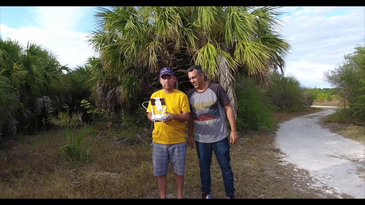 Clearwater & Honeymoon Island - Vlogzao