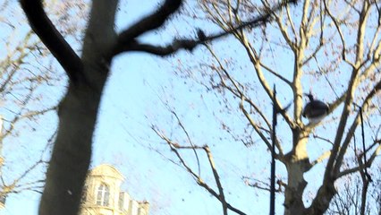 Uber: hope or exploitation for low-income Paris suburbs?