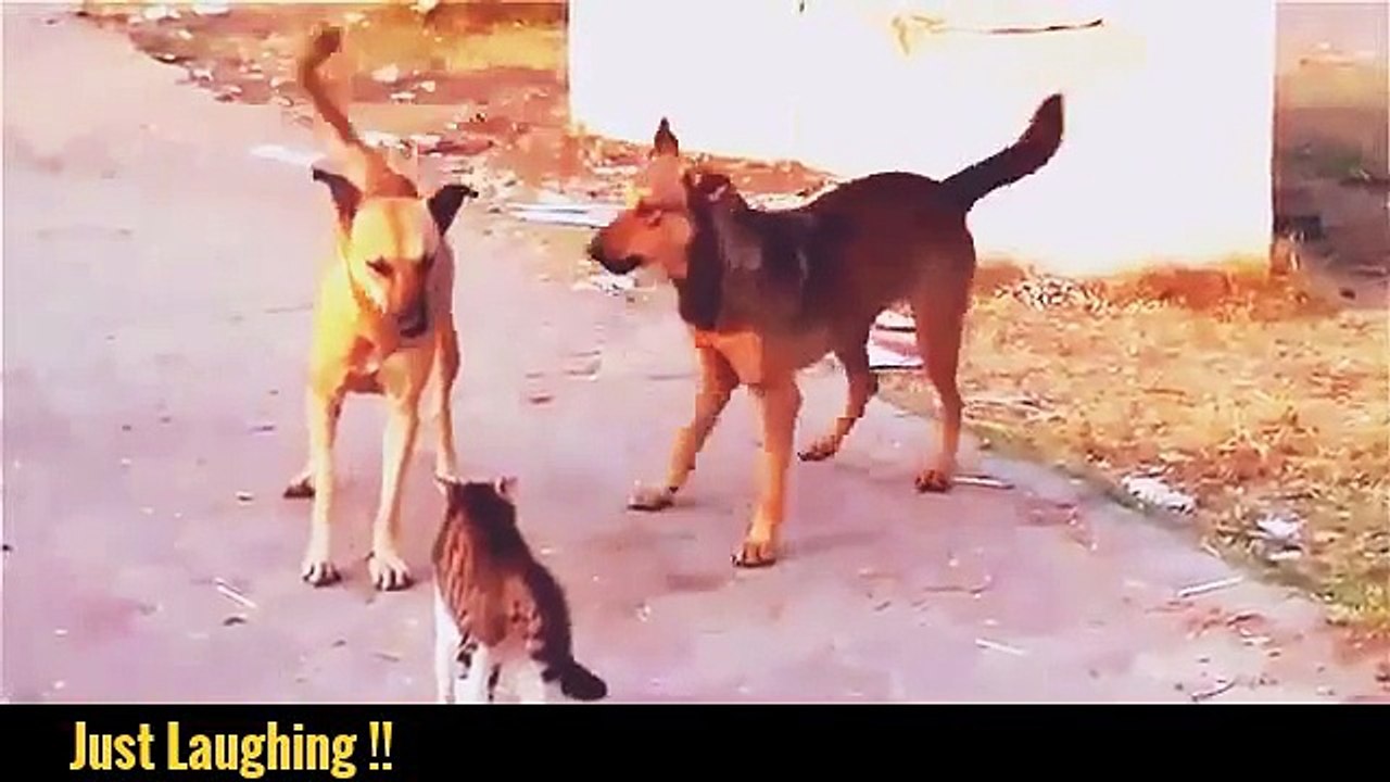 Hahahaha U Can't Control Ur Laughing