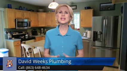 David Weeks Plumbing Lakeland Incredible 5 Star Review by Brenda P.