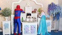 Spiderman Kiss Cam Frozen Elsa Snow White Anna Hulk Batman Superman Peppa Pig Superhero In Real Life