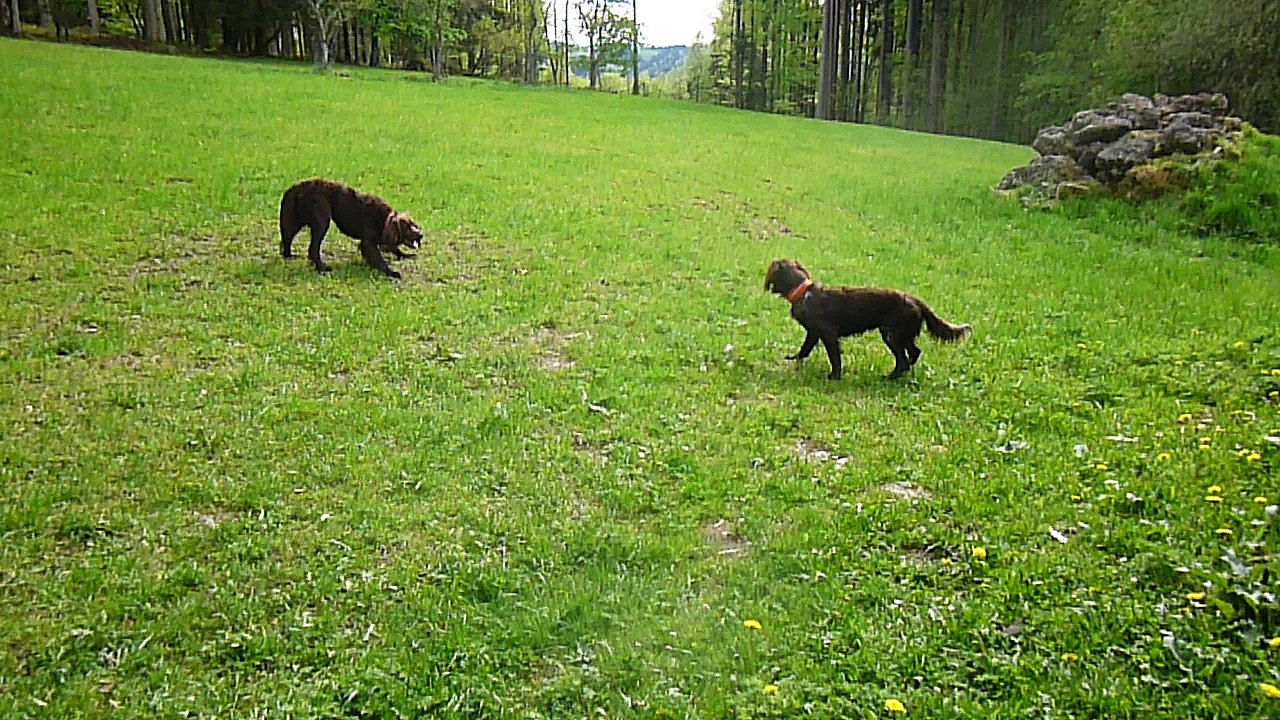 Ingo und Diego