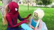 Spider-man vs JOKER UGLY FROZEN ELSA TURNS RAINBOW FACE Spidergirl & Superman HARLEY QUINN Prank