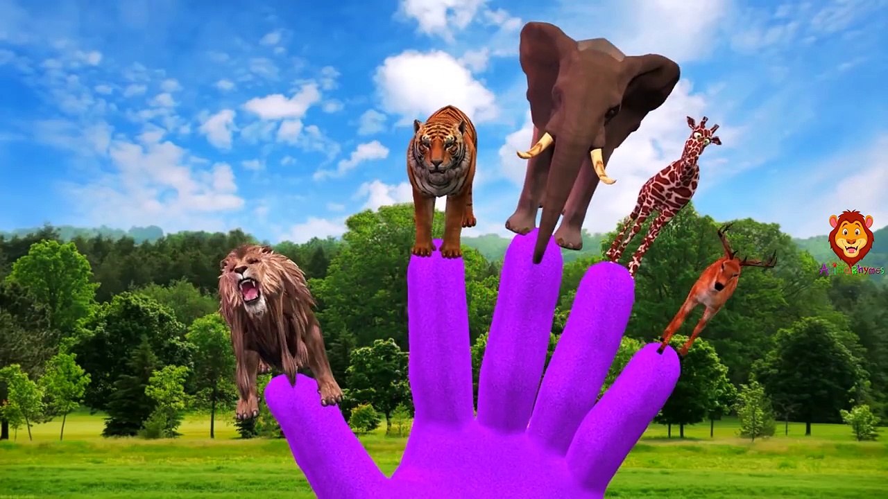 Animals Finger Family Rhymes For Children | Lion Finger Family | Animals Nursery Rhymes