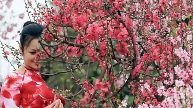ĐOẢN XUÂN CA - Như Quỳnh.