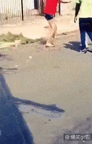 Funny Women Fights