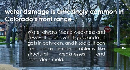 Water Damage and Mold Remediation in Denver - 24-7 Flood Response
