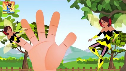 Finger Family Collection | Top 30 Superheroes Finger Family Rhymes | Finger Family