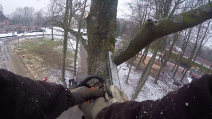 "Timber" à Morlanwelz