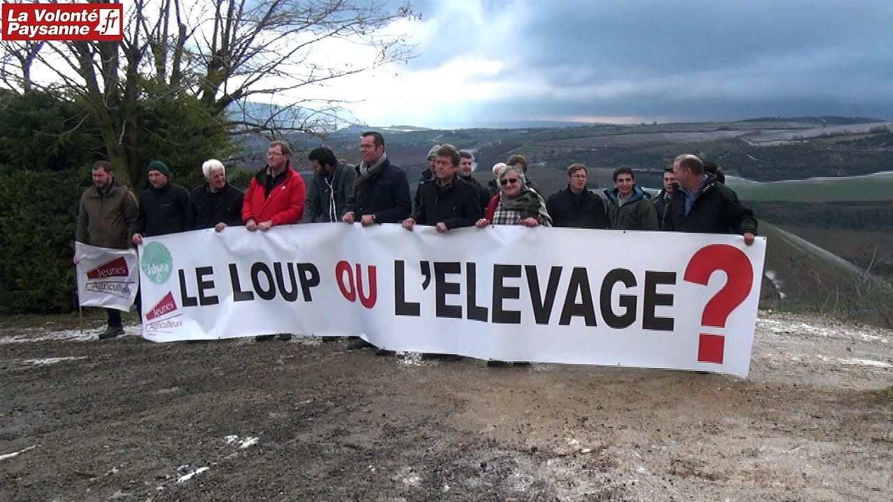 "Alerte loup" à Millau FDSEA-JA Aveyron