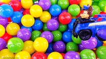 “Ball Pit Show” Toy Surprises! Learn Colors! Fun Kids Ball Pit Activities!