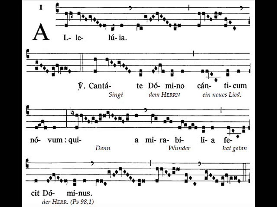 Alleluia Cantate Domino canticum, Dominica VI TpA (6 TO)
