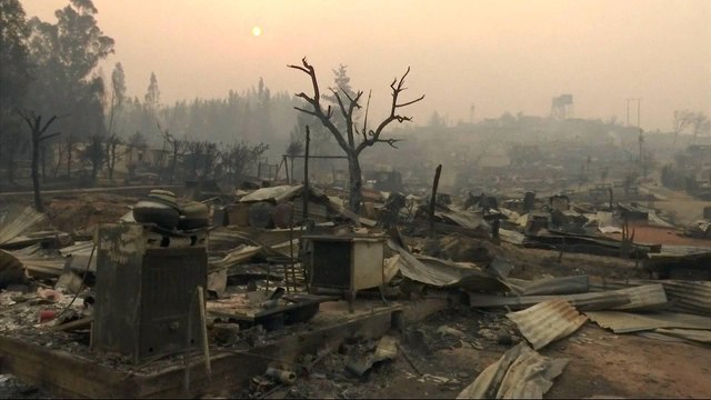 Chile: 1,500 homes destroyed as forest fires rage