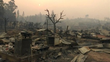 Chile: 1,500 homes destroyed as forest fires rage