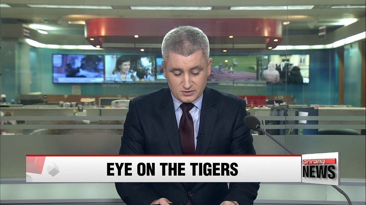 Two Siberian tigers relocated to special zone in Baekdusan Mountain Range