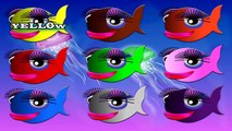 Karikatür Balıklarla Renk Öğrenin [Pena Animasyon]