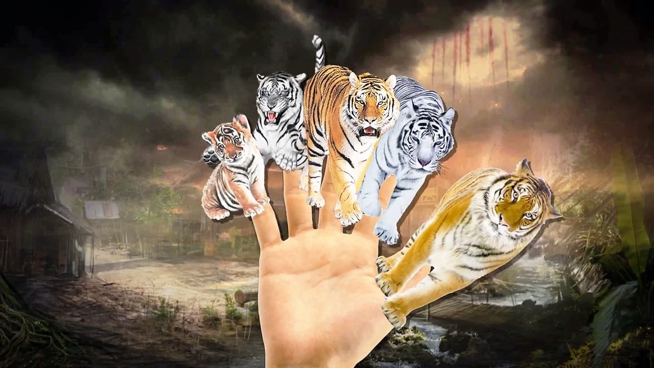 Tiger Cartoons Finger Family Children Nursery Rhymes | Tiger Finger Family Rhymes For Children
