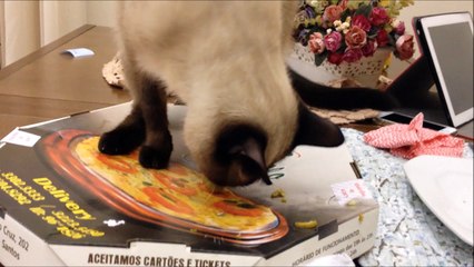 Pizzas tem que vir com azeitonas...