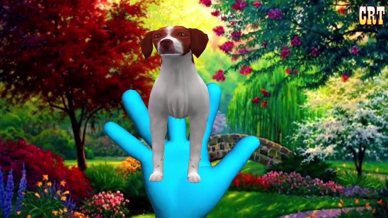 Colourfull Colour Song Learning Nursery Rhymes || Children Rhymes For Collection Rhymes