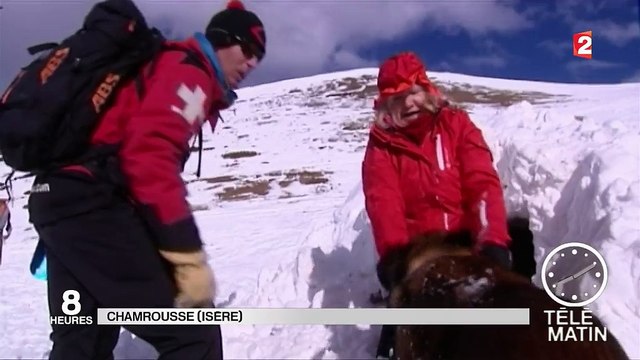 Avalanches : ces chiens qui sauvent des vies