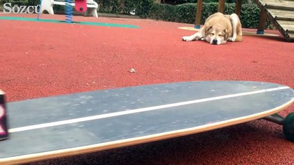 En güzel HAYIR düellosu