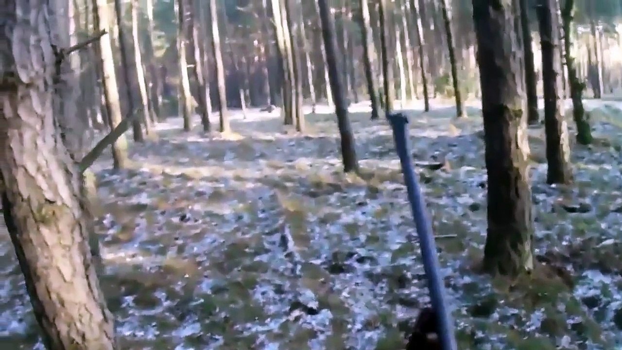 chasse sanglier 1