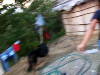 correcaminos