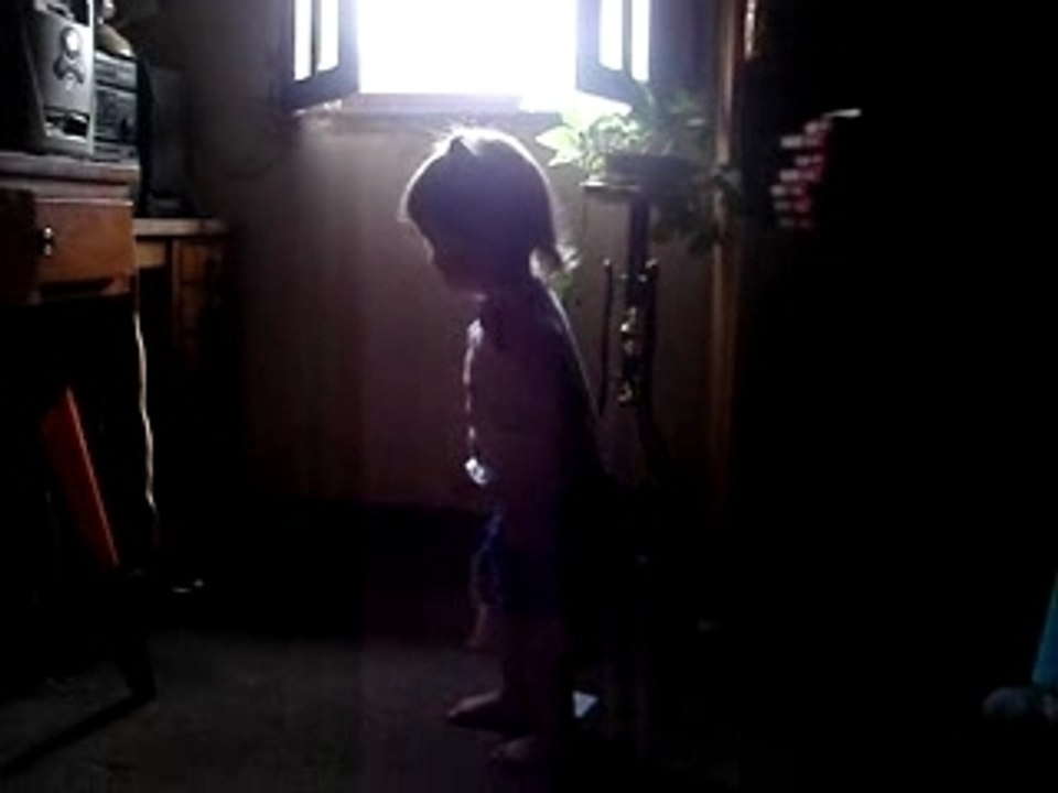 bailando el koala