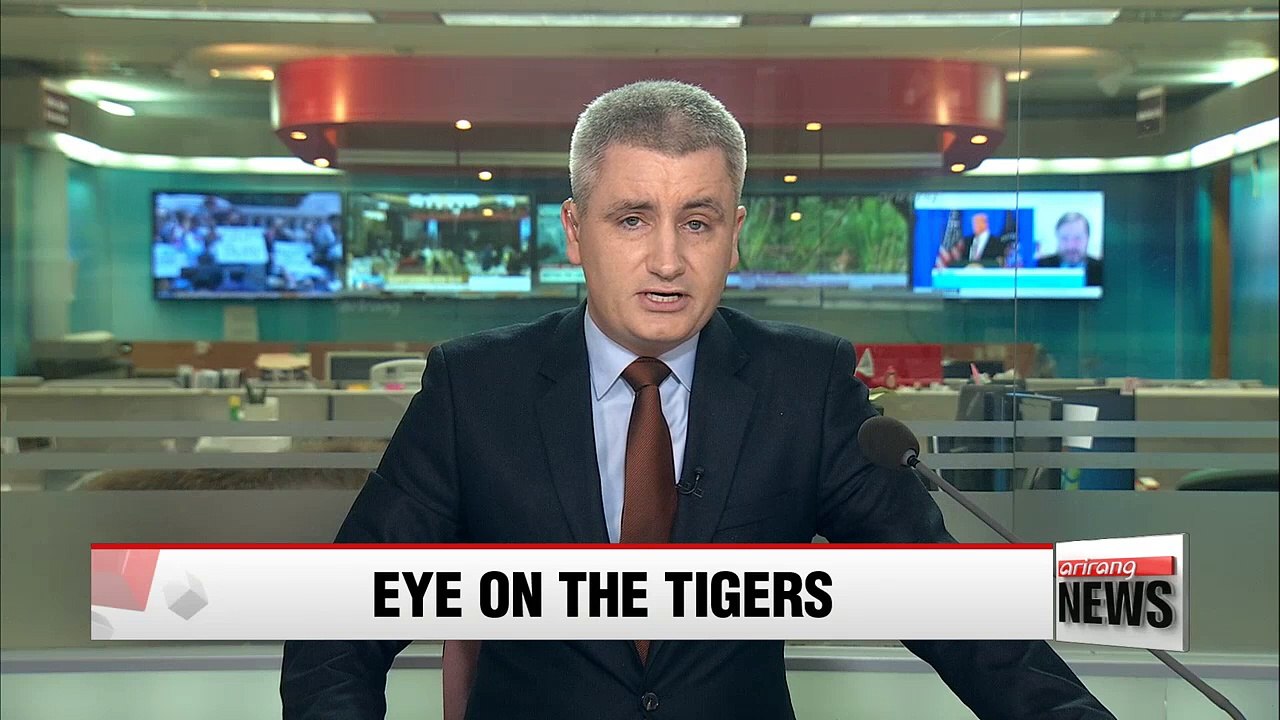 Two Siberian tigers relocated to special zone in Baekdusan Mountain Range