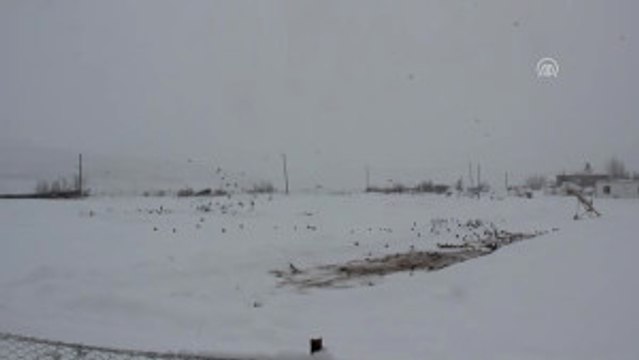 Kar Yağışı Hayatı Olumsuz Etkiliyor