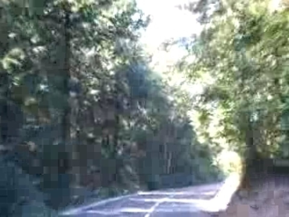 Alpha 5.20 Instru 50cent Foret Avant Monts