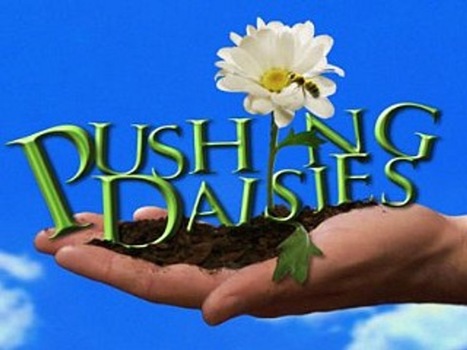Pushing Daisies - Saison 2 Promo #2