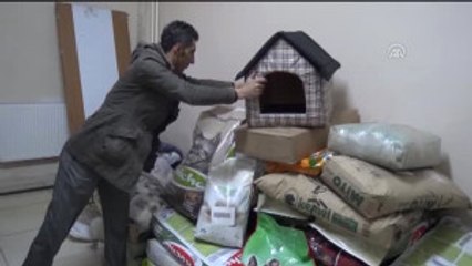 Uludere'de Sokak Hayvanları Koruma Altına Alındı