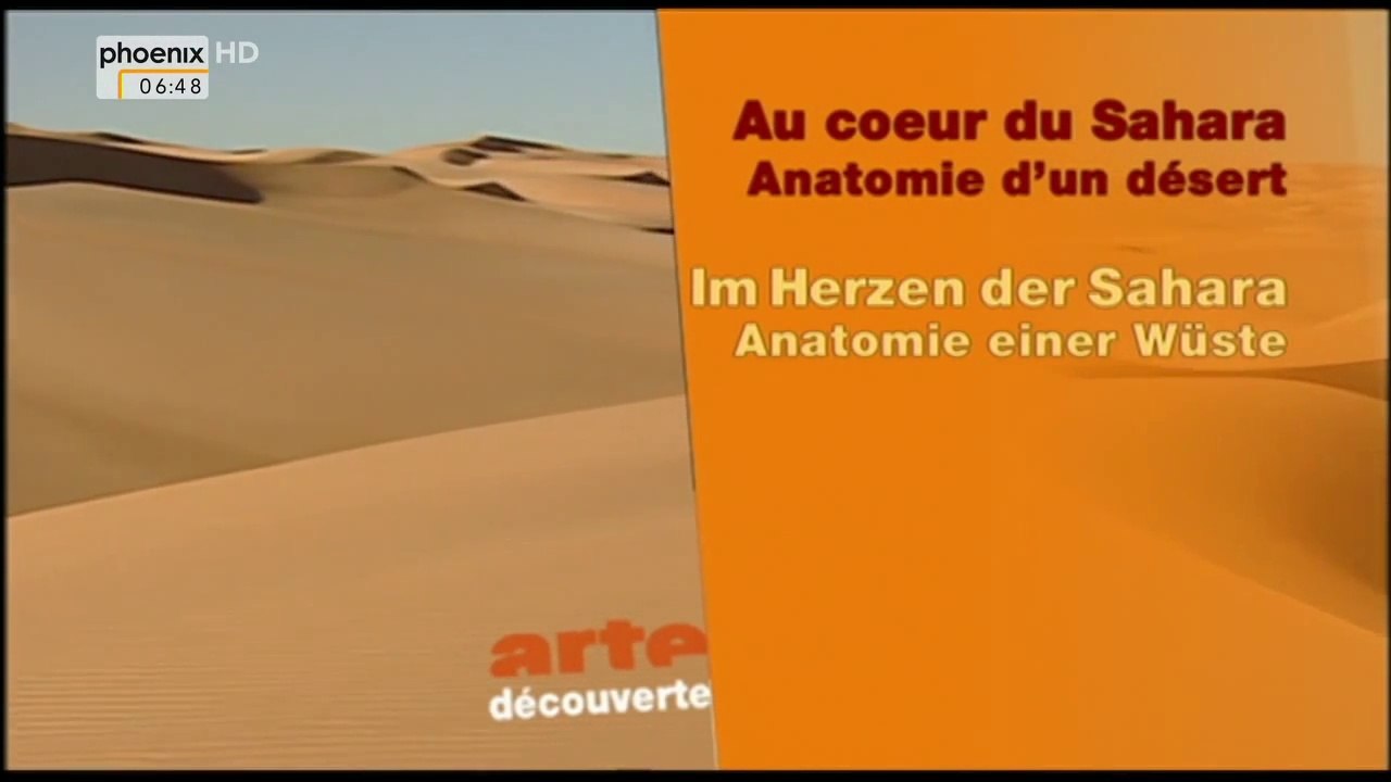 Im Herzen der Sahara - Anatomie einer Wüste