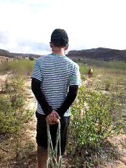 Como Pegar Um cavalo