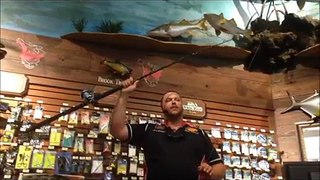 Guide to Heavy Tackle Fishing | Tampa FL Deep Sea Fishing Trips Hubbard's Marina